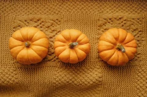 Three mini pumpkins on knitted background. Stock Photos
