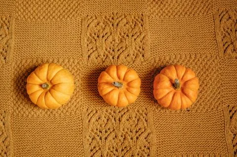 Three mini pumpkins on knitted blanket Stock Photos