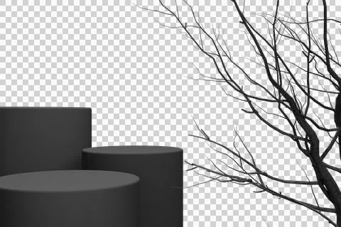Three minimalist dark grey cylindrical display platforms sit Stock Photos
