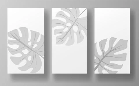 Three minimalist posters featuring gray monstera leaf designs on a white Illustrazione stock