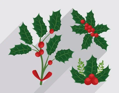 Three mistletoe branches Ilustración de archivo