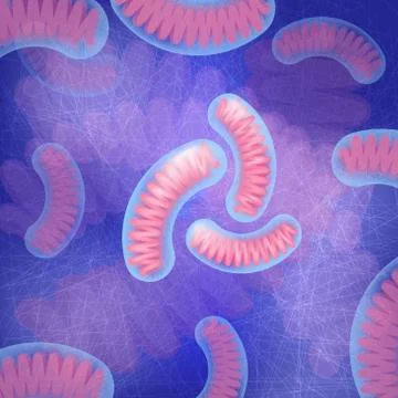 Three mitochondria on blue background Stock Illustration