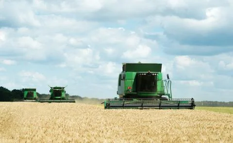 Three modern combine harvester working on a wheat crop Stock Photos