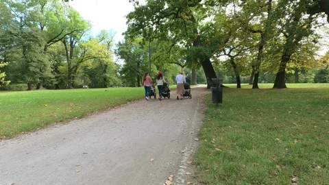 Three Moms with Strollers Walking in the Park Stock Footage 253164463