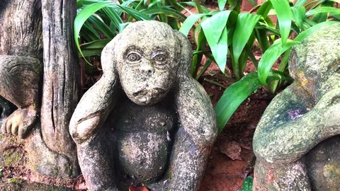 Three monkeys see nothing hear nothing or say nothing in motion Stock Footage 109007657