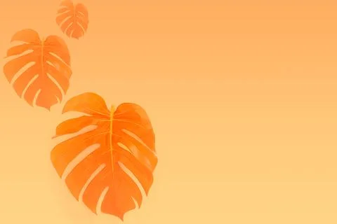 Three monstera leaves decrease size,higher transparency gold gradient.Copy space 스톡 일러스트