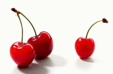 Three morello cherries Stock Photos