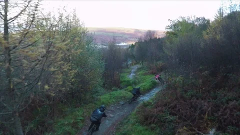 Three mountain bikers ending a trail with autumn colours, drone aerial 4K Stock Footage 101110944
