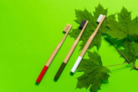 Three multi-colored bamboo toothbrushes lie on twigs on a green background. Stock Photos