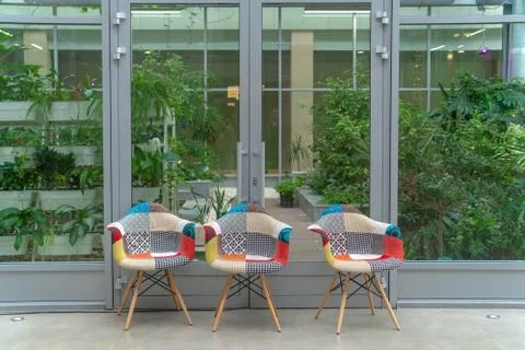 Three multi-colored chairs on the background of greenery indoors. Interior de Fotos Stock