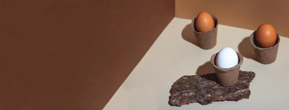 Three multi-colored eggs and natural materials bark of wood. Easter concept Stockfoto's