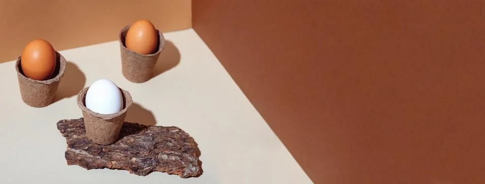 Three multi-colored eggs and natural materials bark of wood. Easter concept 写真素材