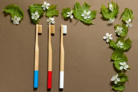 Three multi-colored toothbrushes on a brown background. Stock Photos