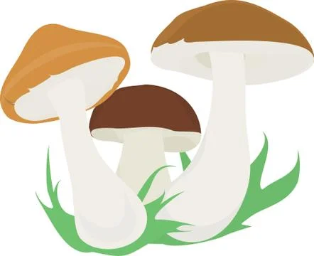 Three mushroom Stock Illustration