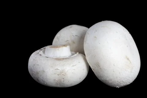 Three mushrooms Stock Photos
