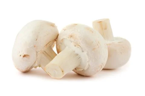 Three mushrooms Stock Photos