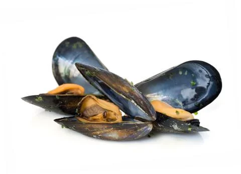 Three mussels Stock Photos