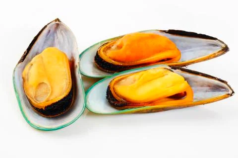Three mussels on white background Stock Photos