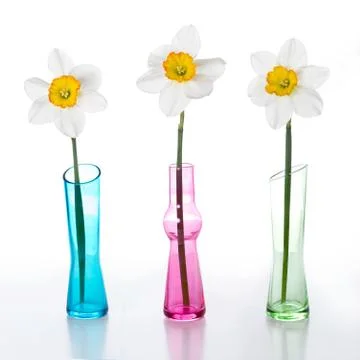 Three narcissus Stock Photos
