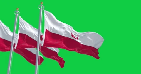 Three national flags of Poland waving in the wind on a clear day Stock Footage 253613073