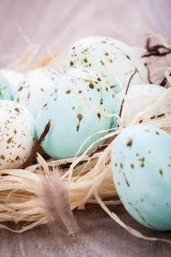 Three natural blue Easter eggs in a basket Stock Photos