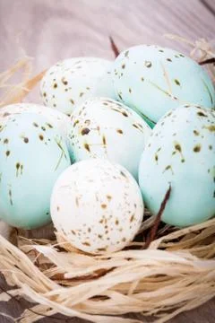 Three natural blue Easter eggs in a basket Stock Photos