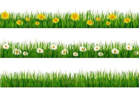 Three nature backgrounds of green grass with dandelions and daisies. vector. Stock Illustration