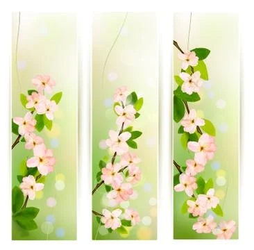 Three nature banners with blossoming tree brunch with spring flowers . vector Stock Illustration