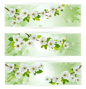Three nature banners with blossoming tree branches. vector illustration Stock Illustration