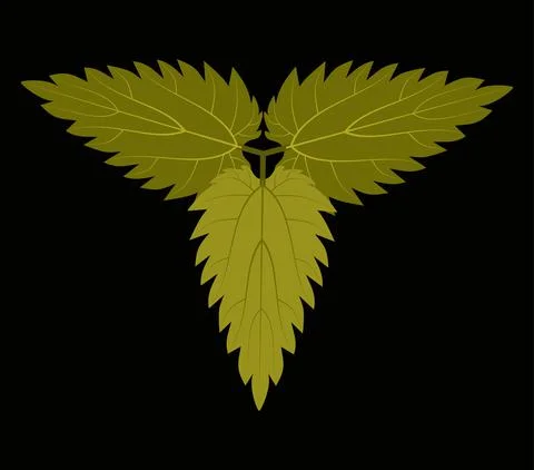 Three nettle leaves on a black background, useful plant, logo, icon Stock Illustration