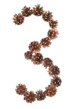 Three number made of pine cone Stock Photos