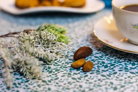 Three nuts and a twig on a blue background Stock Photos