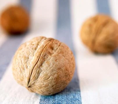 Three nuts on a cloth Stock Photos