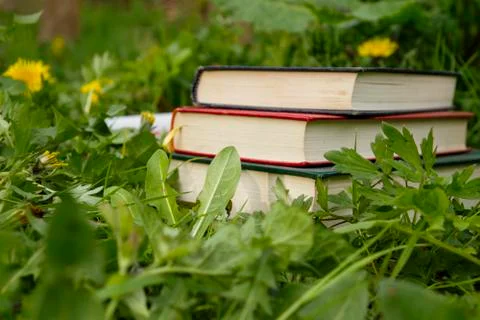Three old books on the green grass Stock Photos