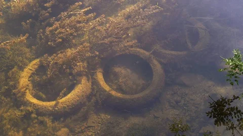 Three old car tires in the bottom of water, causing environment pollution Stock Footage 113773271