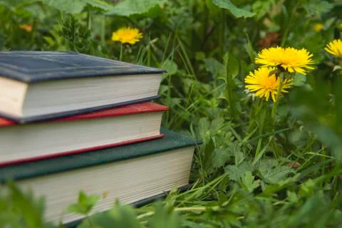 Three old dusty books on the grass Stock Photos