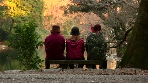 Three old ladies talking on a bench with people walking by in winter. Stock Footage 202110503