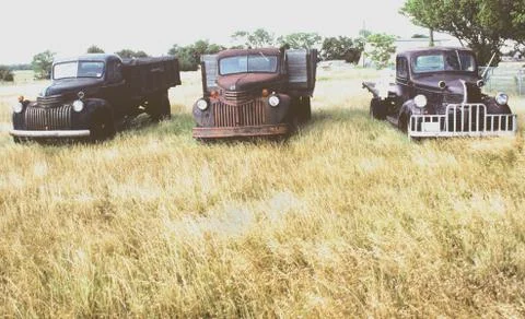 Three Old Trucks Photos