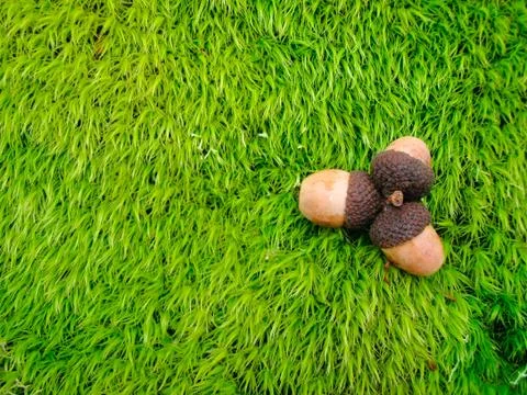 Three in one Stock Photos