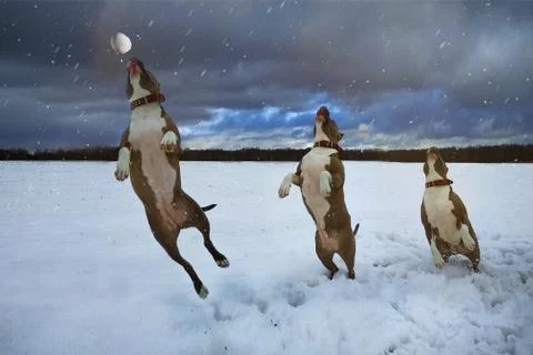 Three in one Stock Photos