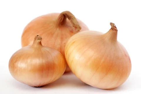 Three onions Stock Photos