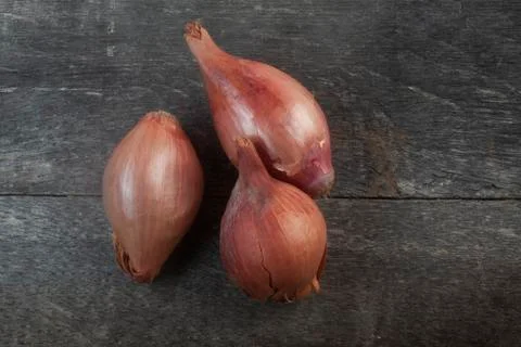 Three onions shallot Stock Photos