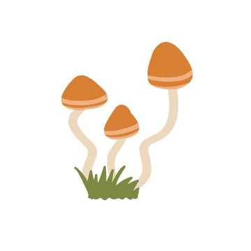 Three orange-capped mushrooms with slender, wavy stems grow out of a small patch Stock Illustration