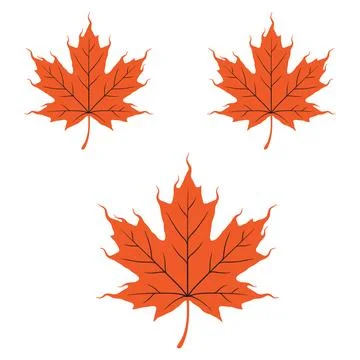 Three orange maple leaves with dark outlines arranged in a triangular forma.. Stockillustratie
