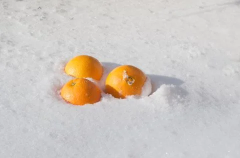 Three orange oranges on white snow, orange color, background, minimalism Stock Photos