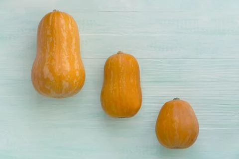 Three orange pumpkins on a green mint vintage background Stock Photos