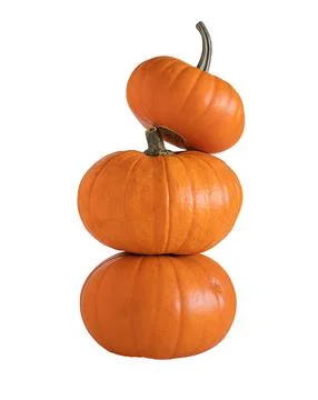 Three orange pumpkins isolated on white background. Stock Photos