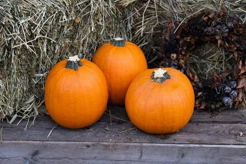 Three orange pumpkins Foto stock