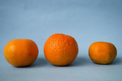 Three oranges and bright background Stock Photos