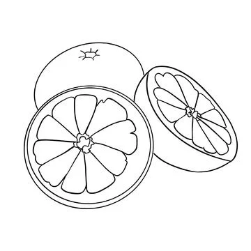 Three oranges in a cut black lines Stock Illustration